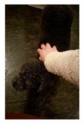 Gismo und ich haben uns kennengelernt, weil wir denselben kleidungsgeschmack haben. Er ist mehr an Menschen interessiert als an seinen Artgenossen. Das versuche ich bei unseren Spaziergängen immer mitzuberücksichtigen.