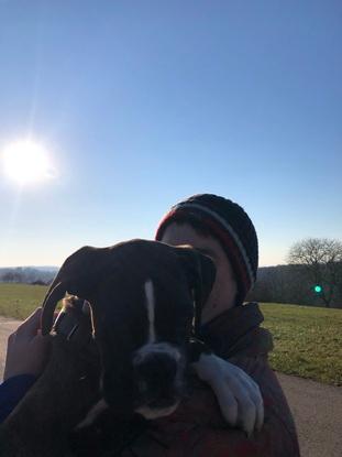 Spazieren mit baby Boxer:)H