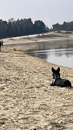 Silbersee