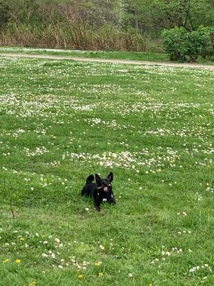 Mittagsspaziergang