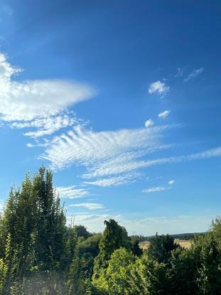 Landschaftlicher Ausblick aus der Wohnung