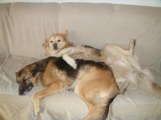 Kavik und Nica