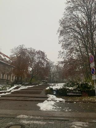 Park
