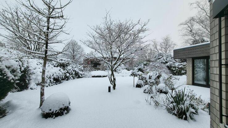 Unser Garten im Winter