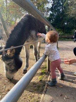Sie liebt Tiere