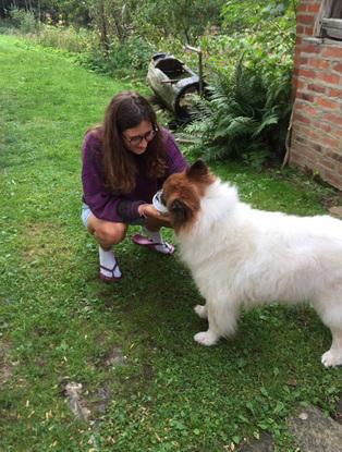 Familienhund Jimmy
