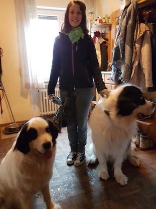 Zwei Hunde einer Freundin von mir, mit denen ich ein paar Mal spazieren gegangen bin :)