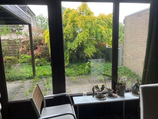 Unser Garten
