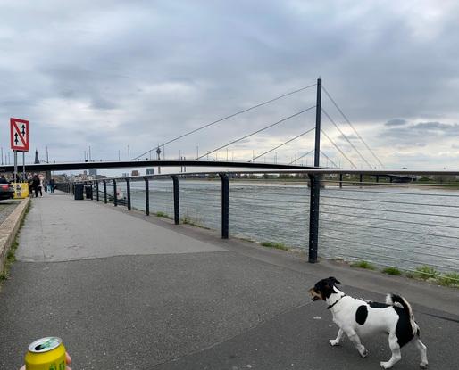 Spaziergang am Rhein