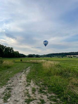 Unsere Wiese vor dem Haus