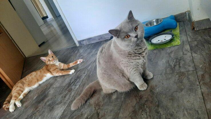 Frühstück mit Lucy & Minnie
