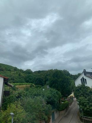 Wir wohnen direkt an den Weinbergen