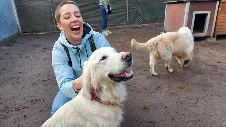 Mit Hunden aus dem Tierheim rausgehen