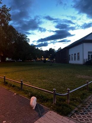 Hundewiese