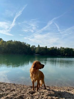 am Fuß nahen See