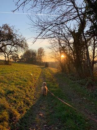 Beim Spaziergang