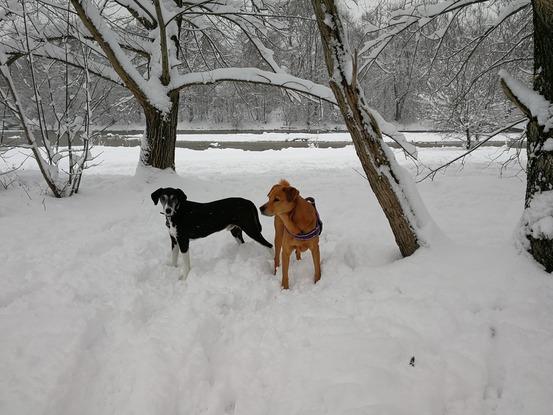 Spaziergang im Schnee