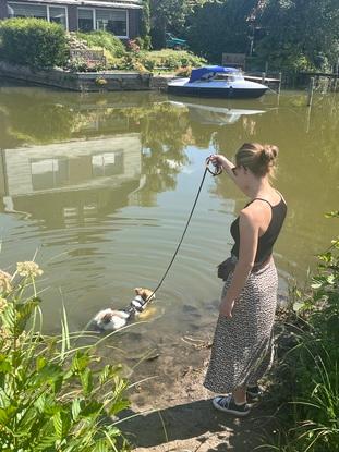 Hund im See