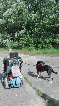 gassi gehen mit Lucia