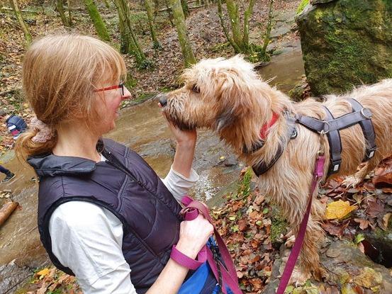 Hier mit einem Besucherhund