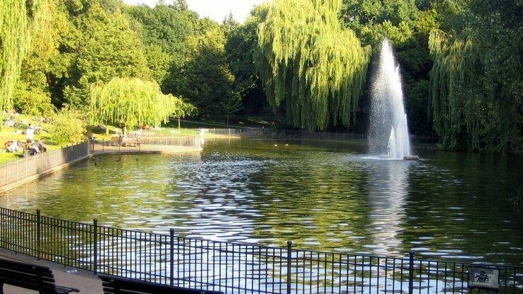 Ententeich im Volkspark Friedrichshain