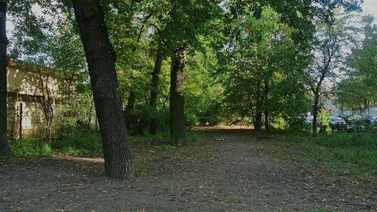 Hundeplatz Volkspark Friedrichshain