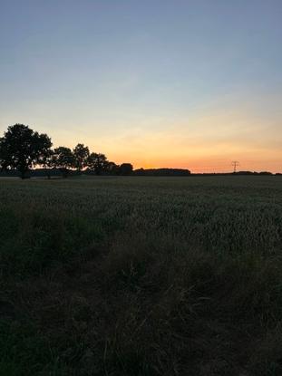 Ausblick vom Balkon 