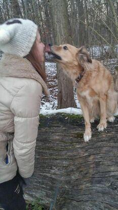 Gassi gehen mit dem Hund meiner Nachbarinn