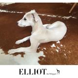 Elliot avatar