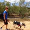 Mika: Zuverlässige Hundebetreuung von erfahrener Hundesitterin
