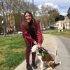 Giulia: Caring and experienced dog-lover