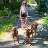 Alina: Liebevolle verantwortungsbewusste Hundesitterin