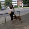 Ruhsar: Hundesitter im Rheingau und Umgebung