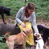 Kerstin: 24/7 Hundebetreuung mit Herz in Frankfurt-Sachsenhausen