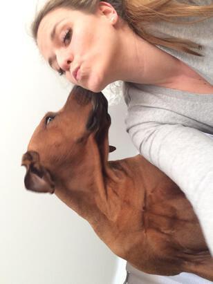 Katrin avatar