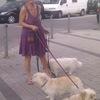 regina: Gina aus Hamburg -für mich sind unsere Hunde die besseren Menschen-