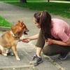 Derya: Hunde Betreuung am Helmholtzplatz