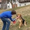 Max & Uta : Hundeliebhaber für Gassi- Service 