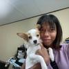 Thamonwan: Hundefreundin sucht Hunde zum sitten