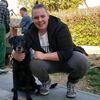 Sascha: Student mit Hundesitting Erfahrung 