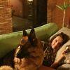 Eva: Hundeliebhaberin sucht vierbeinigen Freund in Hamburg 