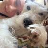 Greta: Hundesitting von Hundeliebhaberin 
