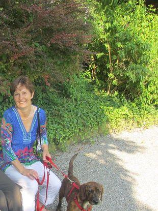 2013 Bodensee mit Lazslo Pflegehund aus Ungarn