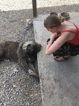 Das bin ich in Georgien mit einem Kaukasischen Schäferhund :-)