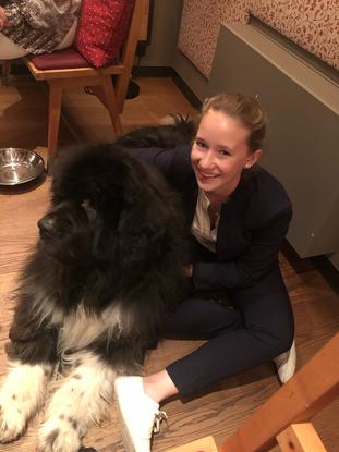 Größere Hunde sind auch kein Problem - hier der Neufundländer einer Freundin