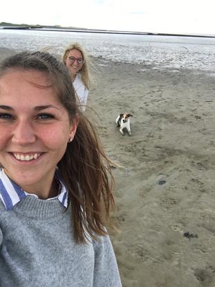 Urlaub an der Nordsee mit Hund