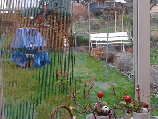 Das ist unser Garten, das blaue, zugebundene Ding ist unser Springbrunnen. Ein Zaun auf allen Seiten, somit kann niemand in den Nachbargarten.