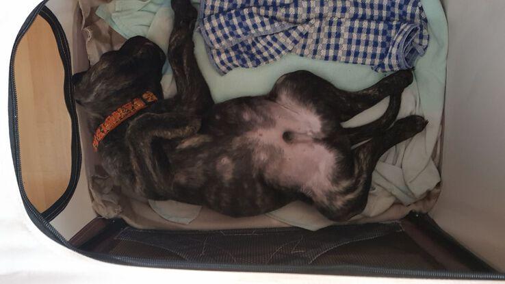 entspannte Position :)