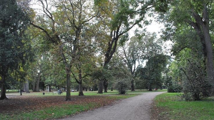Stadtgarten Park ist in 10 min erreichbar
