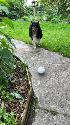 Ballspielen im Garten